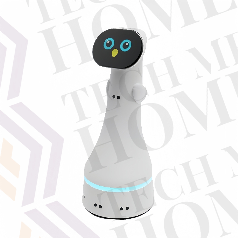 Reception Robot-BlueKitty ; Pls contact us before order,otherwise we will send you the product catalog instead.